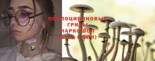 mdpv Ельня