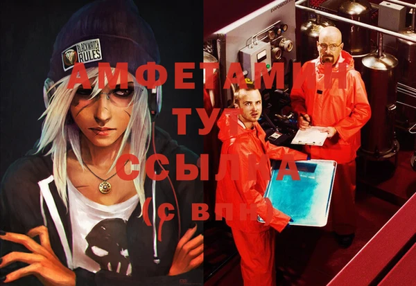 тгк Дмитров
