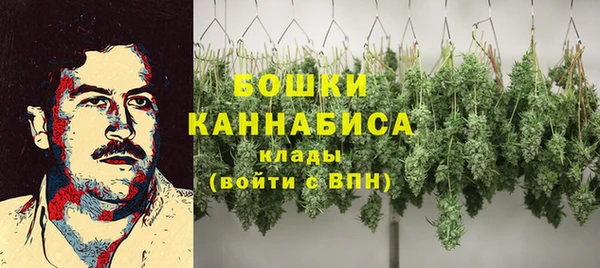 тгк Дмитров