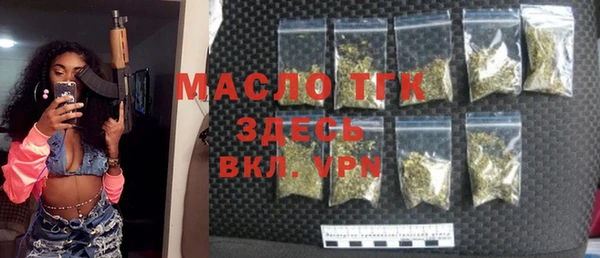 тгк Дмитров