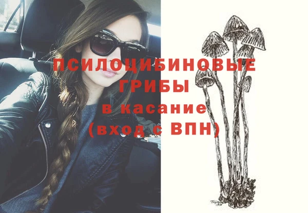 mdpv Ельня