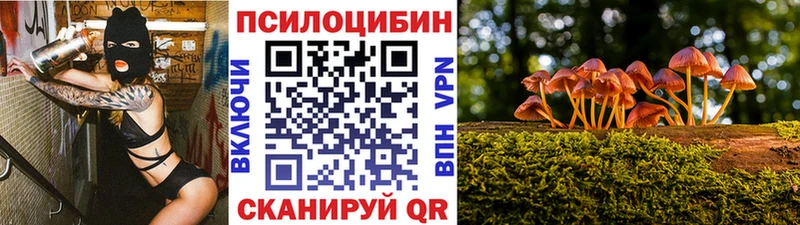 Псилоцибиновые грибы Cubensis  хочу наркоту  Пролетарск 